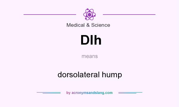 What does Dlh mean? It stands for dorsolateral hump