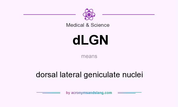 What does dLGN mean? It stands for dorsal lateral geniculate nuclei