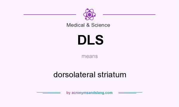What does DLS mean? It stands for dorsolateral striatum