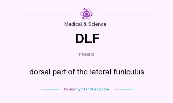 What does DLF mean? It stands for dorsal part of the lateral funiculus