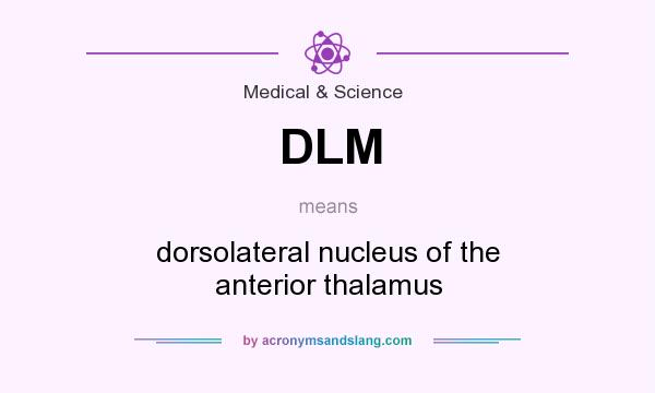 What does DLM mean? It stands for dorsolateral nucleus of the anterior thalamus
