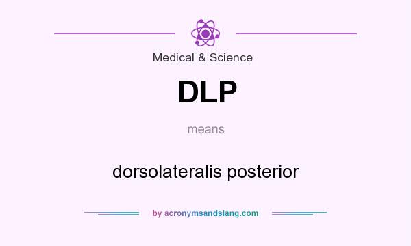 What does DLP mean? It stands for dorsolateralis posterior