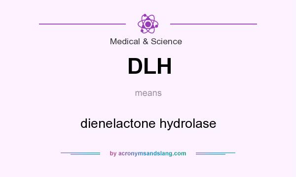 What does DLH mean? It stands for dienelactone hydrolase