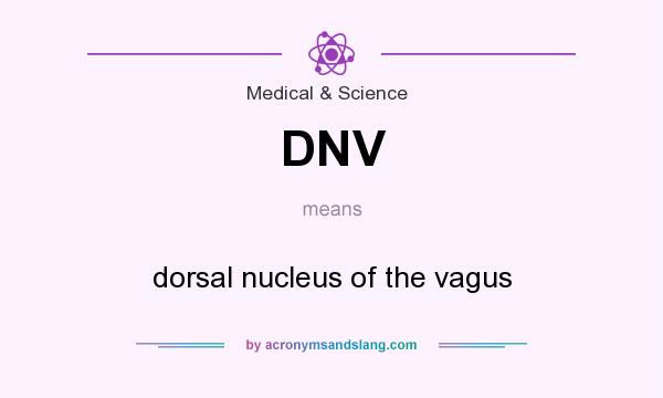 What does DNV mean? It stands for dorsal nucleus of the vagus