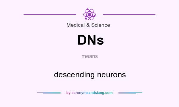 What does DNs mean? It stands for descending neurons