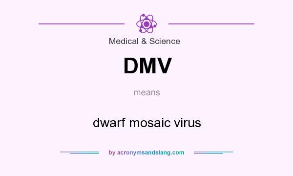 What does DMV mean? It stands for dwarf mosaic virus