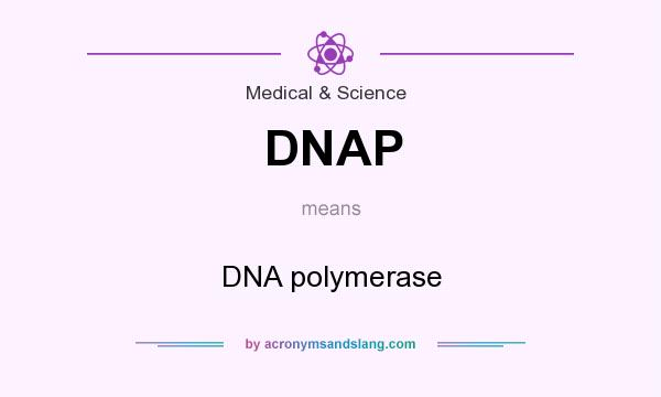 What does DNAP mean? It stands for DNA polymerase