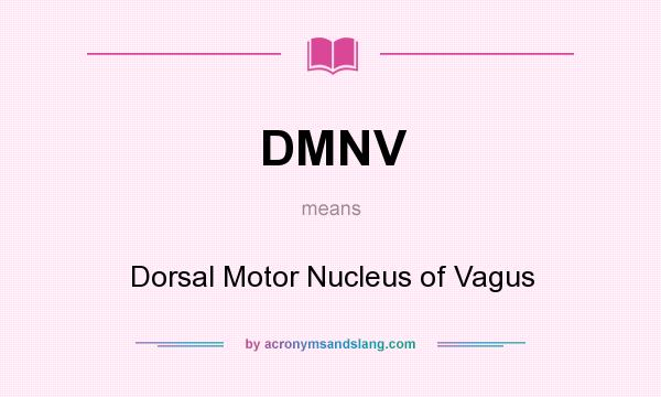 What does DMNV mean? It stands for Dorsal Motor Nucleus of Vagus