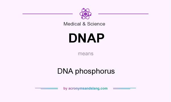 What does DNAP mean? It stands for DNA phosphorus