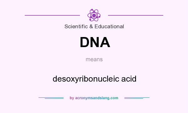 What does DNA mean? It stands for desoxyribonucleic acid