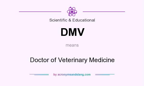 What does DMV mean? It stands for Doctor of Veterinary Medicine
