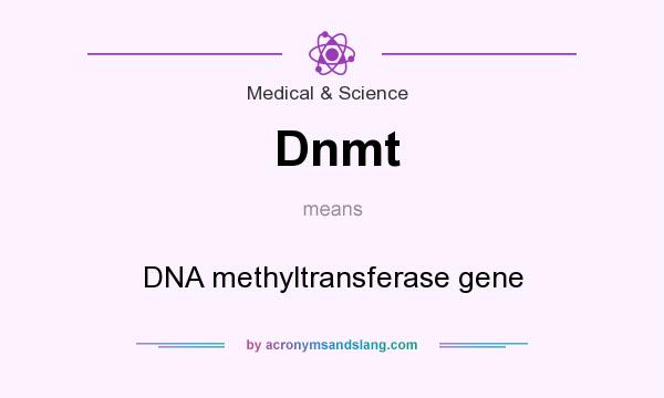What does Dnmt mean? It stands for DNA methyltransferase gene