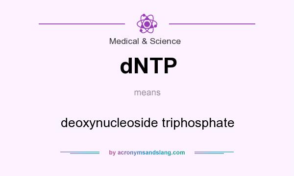 What does dNTP mean? It stands for deoxynucleoside triphosphate