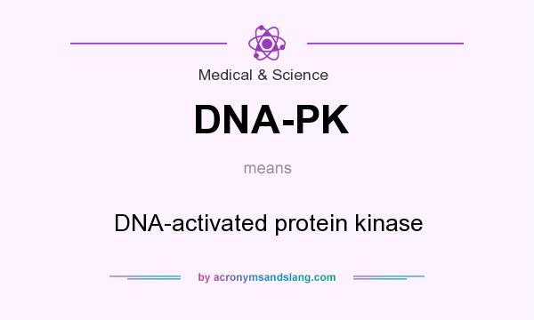 What does DNA-PK mean? It stands for DNA-activated protein kinase