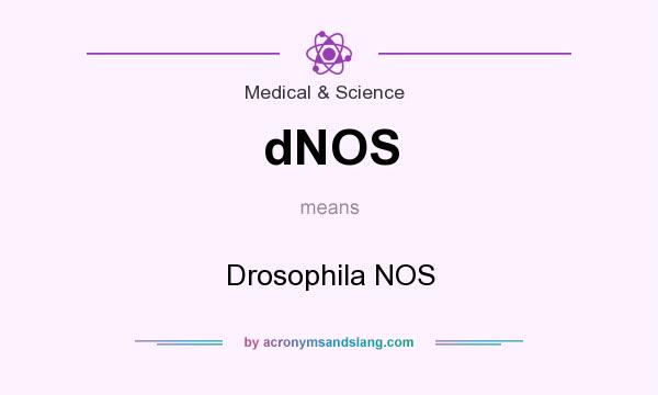 What does dNOS mean? It stands for Drosophila NOS