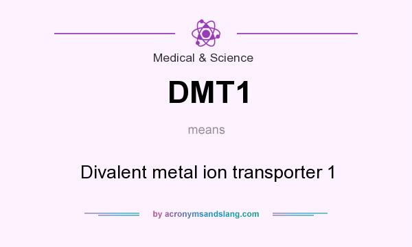 What does DMT1 mean? It stands for Divalent metal ion transporter 1