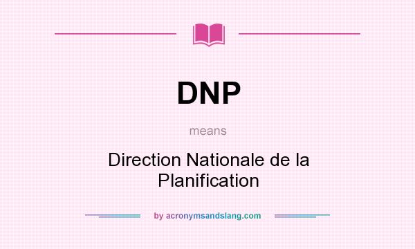 What does DNP mean? It stands for Direction Nationale de la Planification