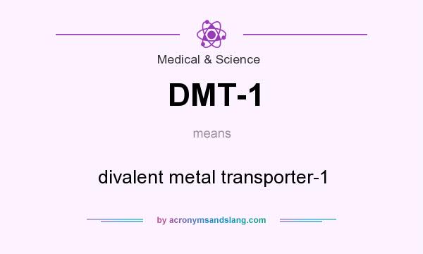 What does DMT-1 mean? It stands for divalent metal transporter-1