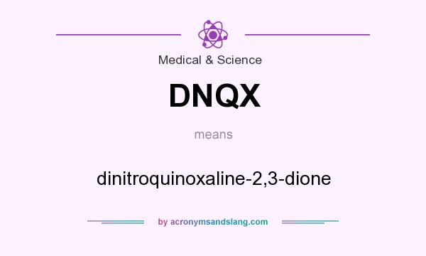 What does DNQX mean? It stands for dinitroquinoxaline-2,3-dione