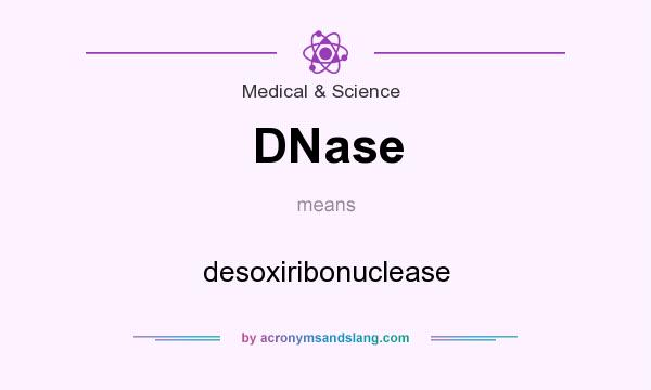 What does DNase mean? It stands for desoxiribonuclease