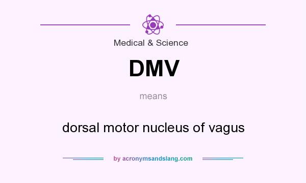 What does DMV mean? It stands for dorsal motor nucleus of vagus