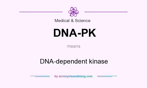 What does DNA-PK mean? It stands for DNA-dependent kinase