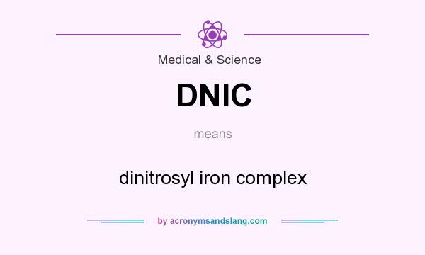 What does DNIC mean? It stands for dinitrosyl iron complex