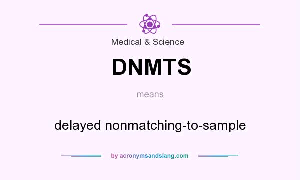 What does DNMTS mean? It stands for delayed nonmatching-to-sample