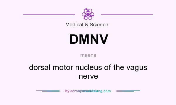 What does DMNV mean? It stands for dorsal motor nucleus of the vagus nerve