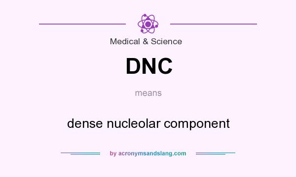 What does DNC mean? It stands for dense nucleolar component
