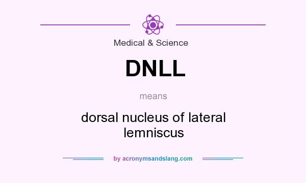 What does DNLL mean? It stands for dorsal nucleus of lateral lemniscus