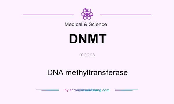 What does DNMT mean? It stands for DNA methyltransferase