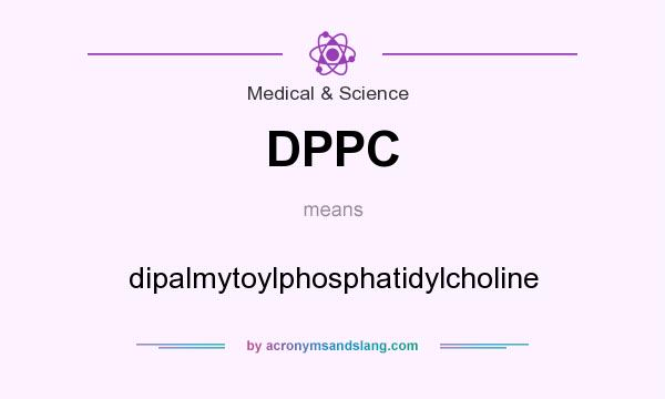 What does DPPC mean? It stands for dipalmytoylphosphatidylcholine