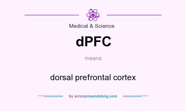 What does dPFC mean? It stands for dorsal prefrontal cortex