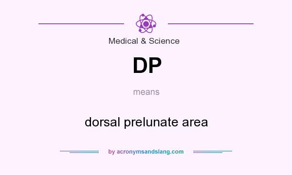 What does DP mean? It stands for dorsal prelunate area