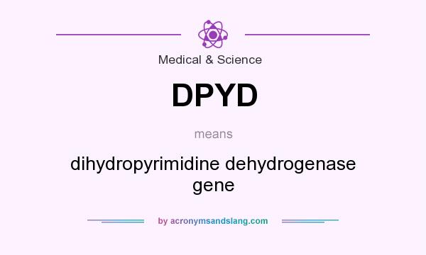 What does DPYD mean? It stands for dihydropyrimidine dehydrogenase gene