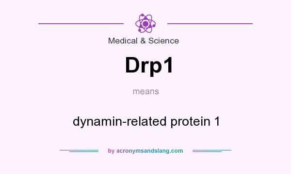 What does Drp1 mean? It stands for dynamin-related protein 1