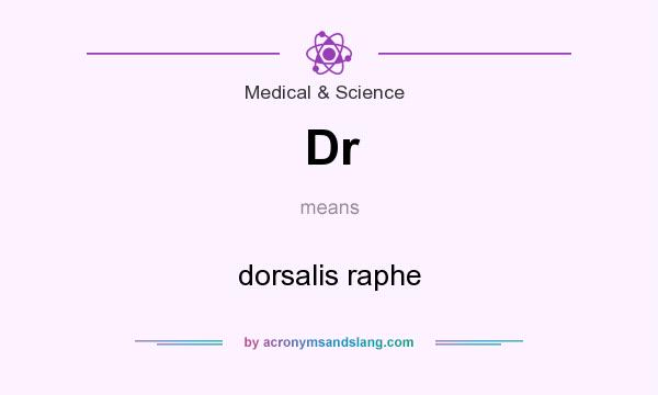 What does Dr mean? It stands for dorsalis raphe