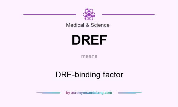What does DREF mean? It stands for DRE-binding factor