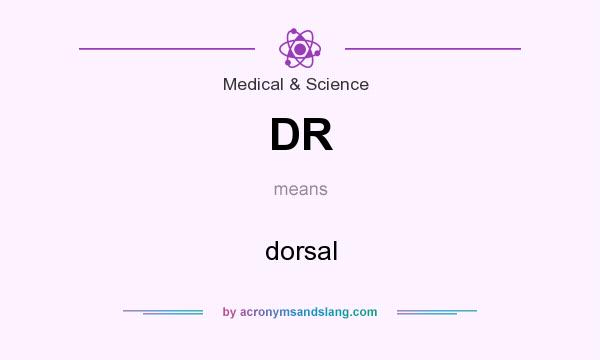 What does DR mean? It stands for dorsal