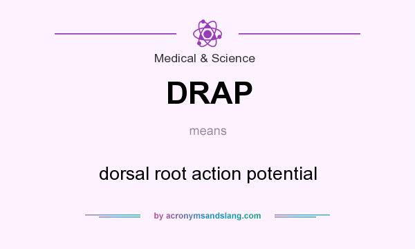 What does DRAP mean? It stands for dorsal root action potential