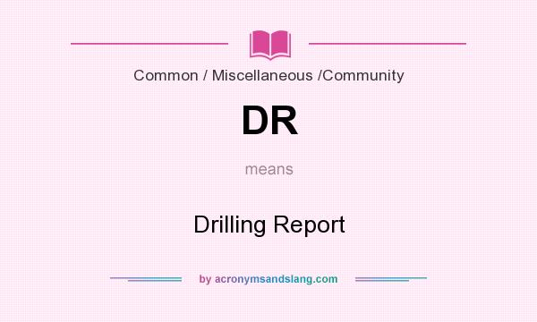 What does DR mean? It stands for Drilling Report