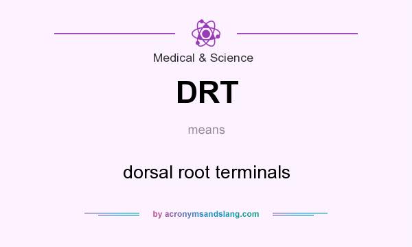What does DRT mean? It stands for dorsal root terminals