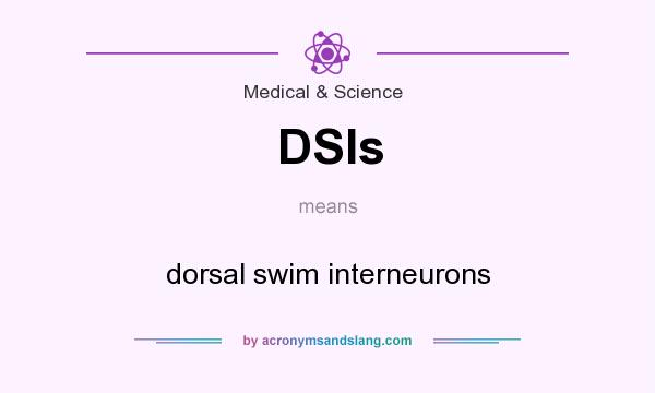 What does DSIs mean? It stands for dorsal swim interneurons