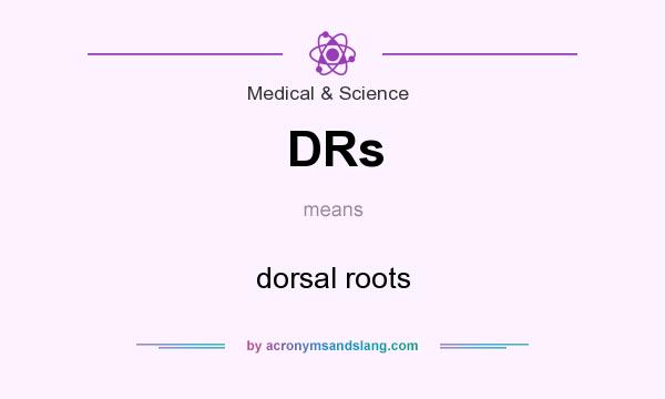 What does DRs mean? It stands for dorsal roots