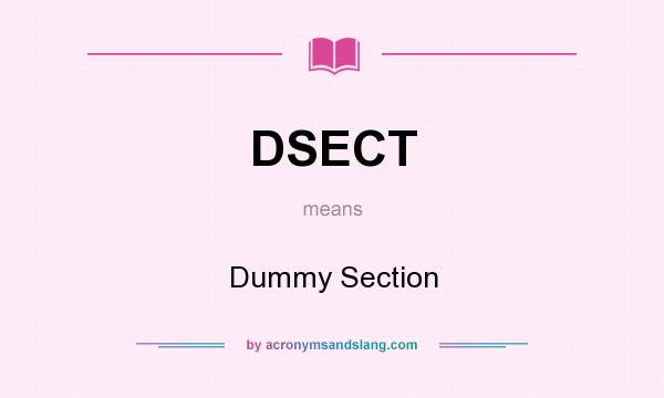 What does DSECT mean? It stands for Dummy Section