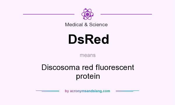 What does DsRed mean? It stands for Discosoma red fluorescent protein