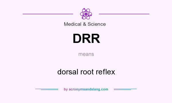 What does DRR mean? It stands for dorsal root reflex