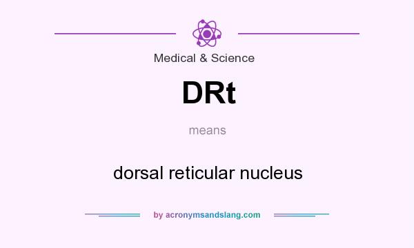 What does DRt mean? It stands for dorsal reticular nucleus