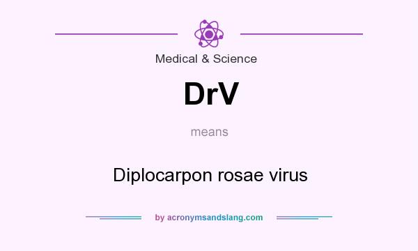 What does DrV mean? It stands for Diplocarpon rosae virus